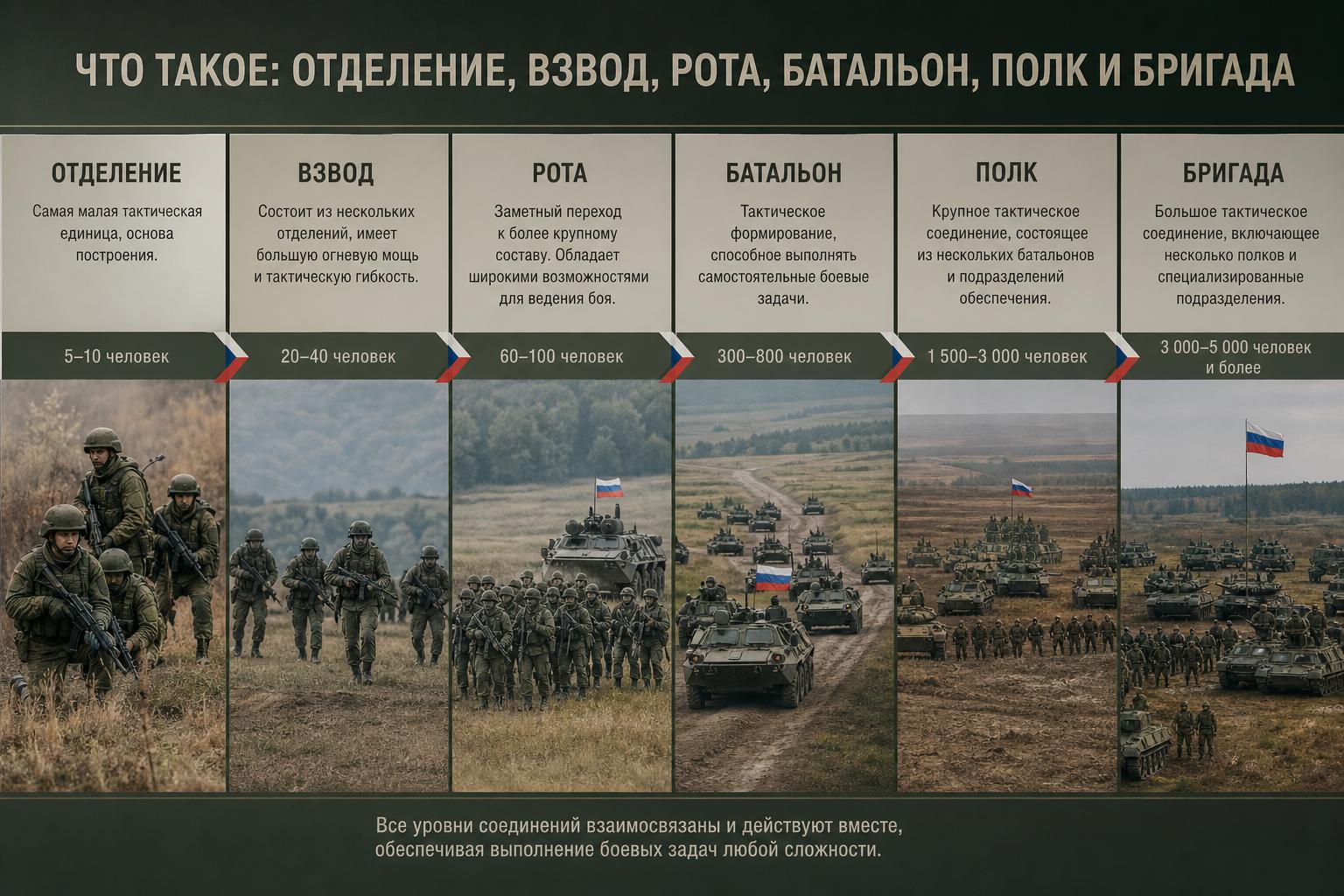 Что такое отделение, взвод, рота, батальон, полк и бригада. Рота: заметный переход к более крупному составу